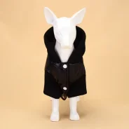 ������ ��� ����� ������ � ���������, ������ M, ������ ����