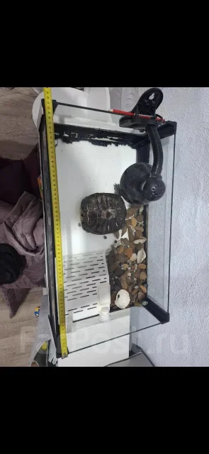 ��������. ����
