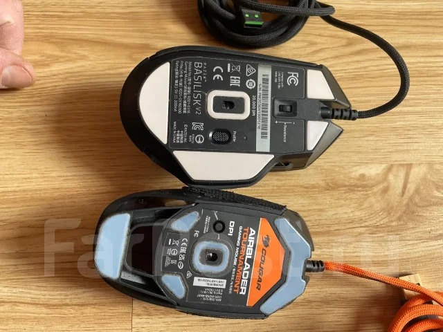 ���� �������. ����