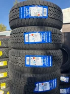 Compasal Winter Stud. ������, ����������, 2026 ���, ����� ����