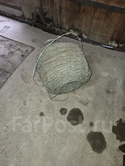 ������ ����� ������� ��������� ����