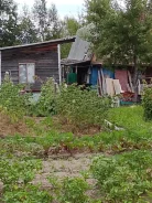 ������ �������. 16.5����., ���, �������������, �������������, ���� ����