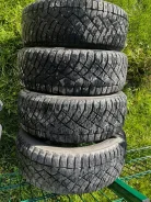 Nitto Therma Spike. ������, ����������, 2020 ���, �/�, ����� 5 %. �������� ������� ����