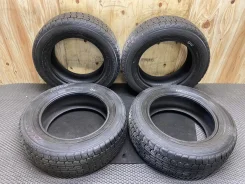 Goodyear Ice Navi Zea