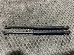 ����������� ������ BMW 3 2001 51238202688 E46 M57D30 306D1 51238202688 ����