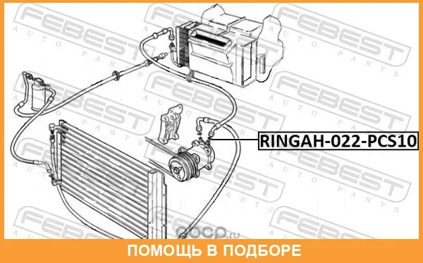 ������ �������������� ������ ������������ pcs 10 Febest / Ringah022PCS10 RINGAH022PCS10 ����