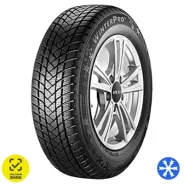 GT Radial WinterPro2