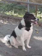����� �����. ����