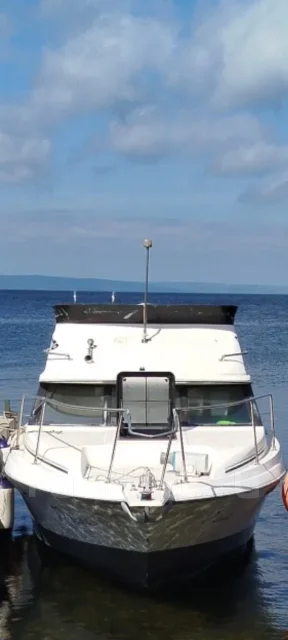 Bayliner. 1991 ���, ����� 7,5��., ��������� ������������, 180��.�., ������ ����