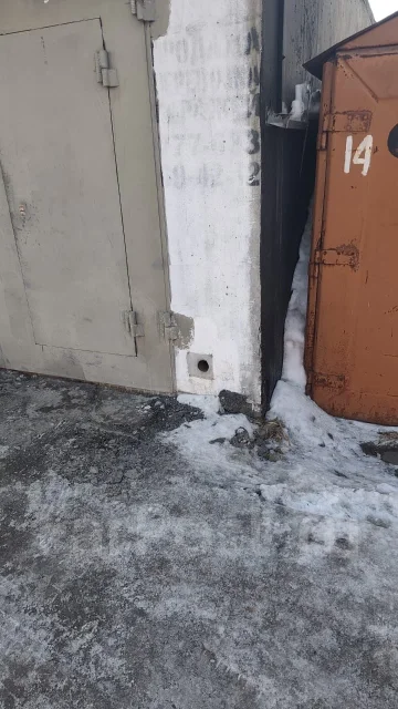����� ����