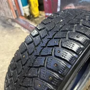 Marshal I'Zen WIS KW19. ������, ����������, �/�, ����� 20 % ����