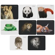 ������ ��� ���� Defender Wild Animals ������+����� ������� 260623/50803 ����