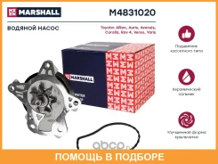 ������� ������ (��������) Marshall / M4831020 M4831020 ����