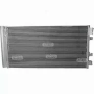 ���� ������� | ����� ����/��� | NGN 261093 261093 ����