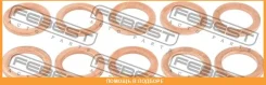 ������ �������������� �������� ������� Febest / Ringol041PCS10 RINGOL041PCS10 ����