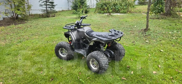Grizzly 125. ��������, ��� ���\���, �� ����