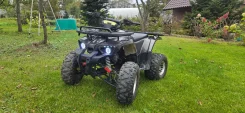 Grizzly 125. ��������, ��� ���\���, �� ����