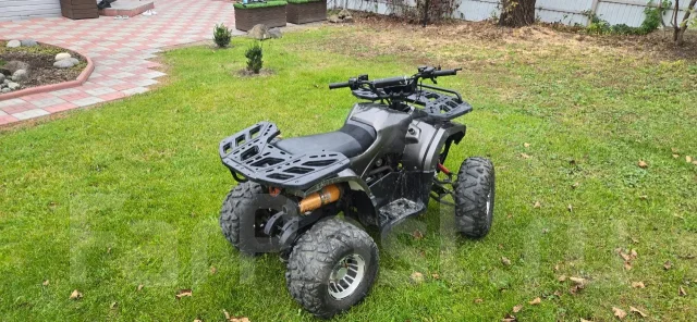 Grizzly 125. ��������, ��� ���\���, �� ����