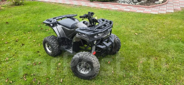 Grizzly 125. ��������, ��� ���\���, �� ����