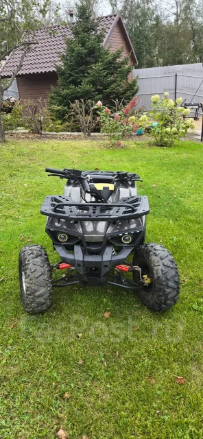 Grizzly 125. ��������, ��� ���\���, �� ����