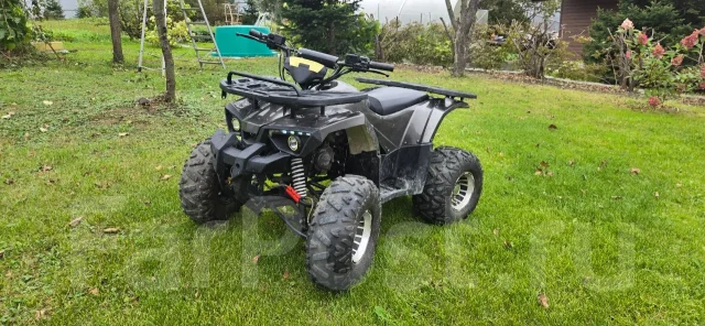Grizzly 125. ��������, ��� ���\���, �� ����