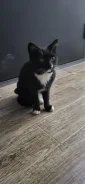 ����������� �����. ����