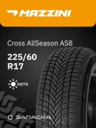 ���� Forza REG T