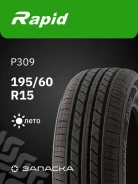 Rapid P309