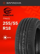 Firemax FM601