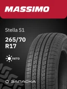 Massimo Stella S1