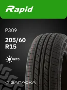 Rapid P309