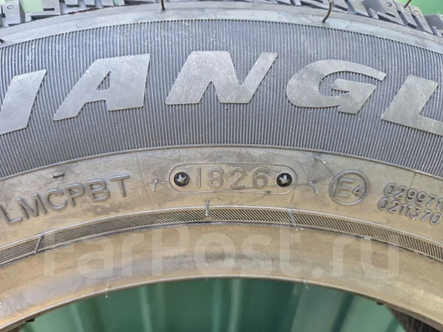 Triangle IcelynX TI501. ������, ����������, 2026 ���, ����� ����