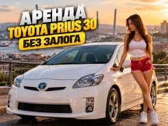 Toyota Prius. ��� �������� ����