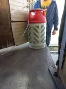 ������ ������� ������ ����� ����