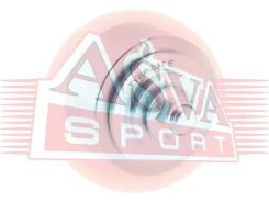 ����� �������� ��������� ������������ Toyota/ LAND Cruiser 100 HDJ101/ UZJ100 1998-2007 ASVA TYBP037 TYBP037 ����