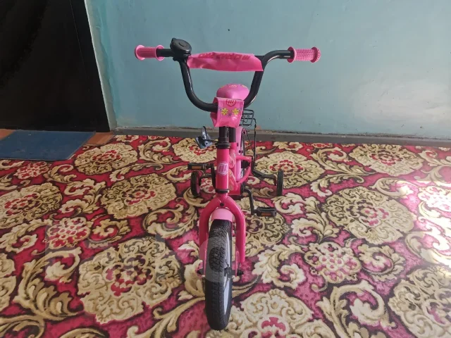 ������� ����������. ����