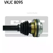 ������ �������� ������ VKJC8095 ����