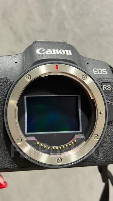 Canon EOS R8 Body ����