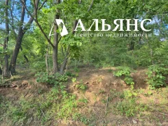 � ������� ��������� ������� � ������������. 15����., ������. ���� ������� ����