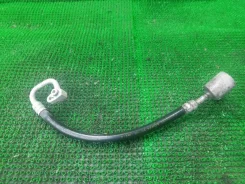 ������ ������������ Nissan Presage NU30 ����