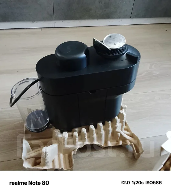 ����������. ����