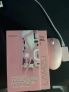 ���� �������. ����