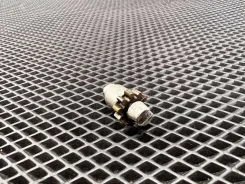 ��������� (���������) Maserati Quattroporte 5 M156 2006 [186572] 186572 ����