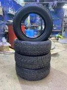 Tigar Ice. ������, ����������, 2021 ���, �/�, ����� 30 %. �������� ������ ����