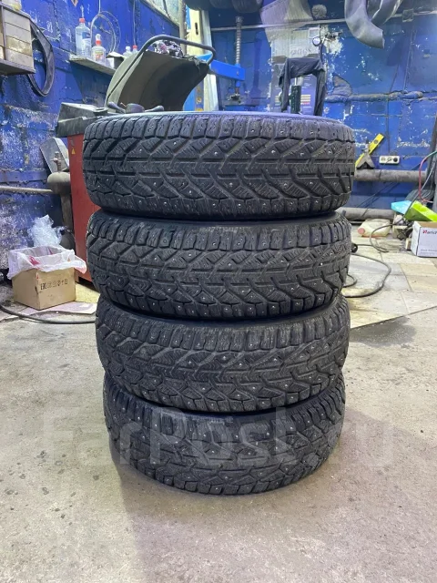 Tigar Ice. ������, ����������, 2021 ���, �/�, ����� 30 %. �������� ������� ����