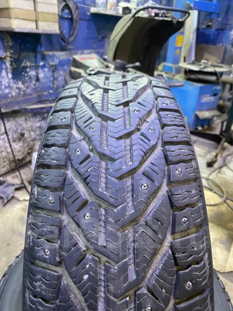 Tigar Ice. ������, ����������, 2021 ���, �/�, ����� 30 % ����