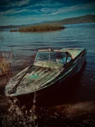 ����-�. 1991 ���, ��������� ������������, 95��.�., ������ ����
