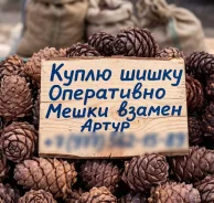 ����� �������� ����� � ���� ����