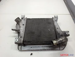 �������� ����������� Nissan X-Trail (T30) 2001-2007 22161556 14461ES60A ����