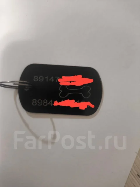 �������� ���������� ����